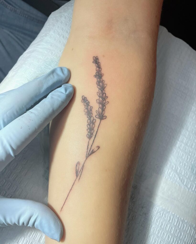 Fully Black Lavender Tattoo on the Arm