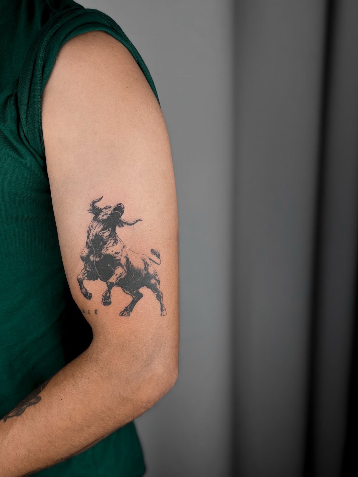 A black ink realistic bull tattoo on a person's upper arm.
